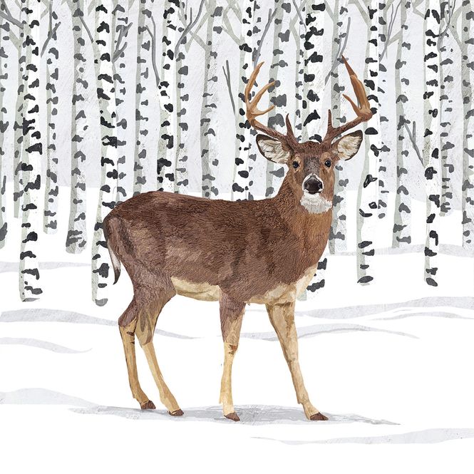 Hovedbilde Middagsservietter Vinter Wilderness Stag fra PPD 